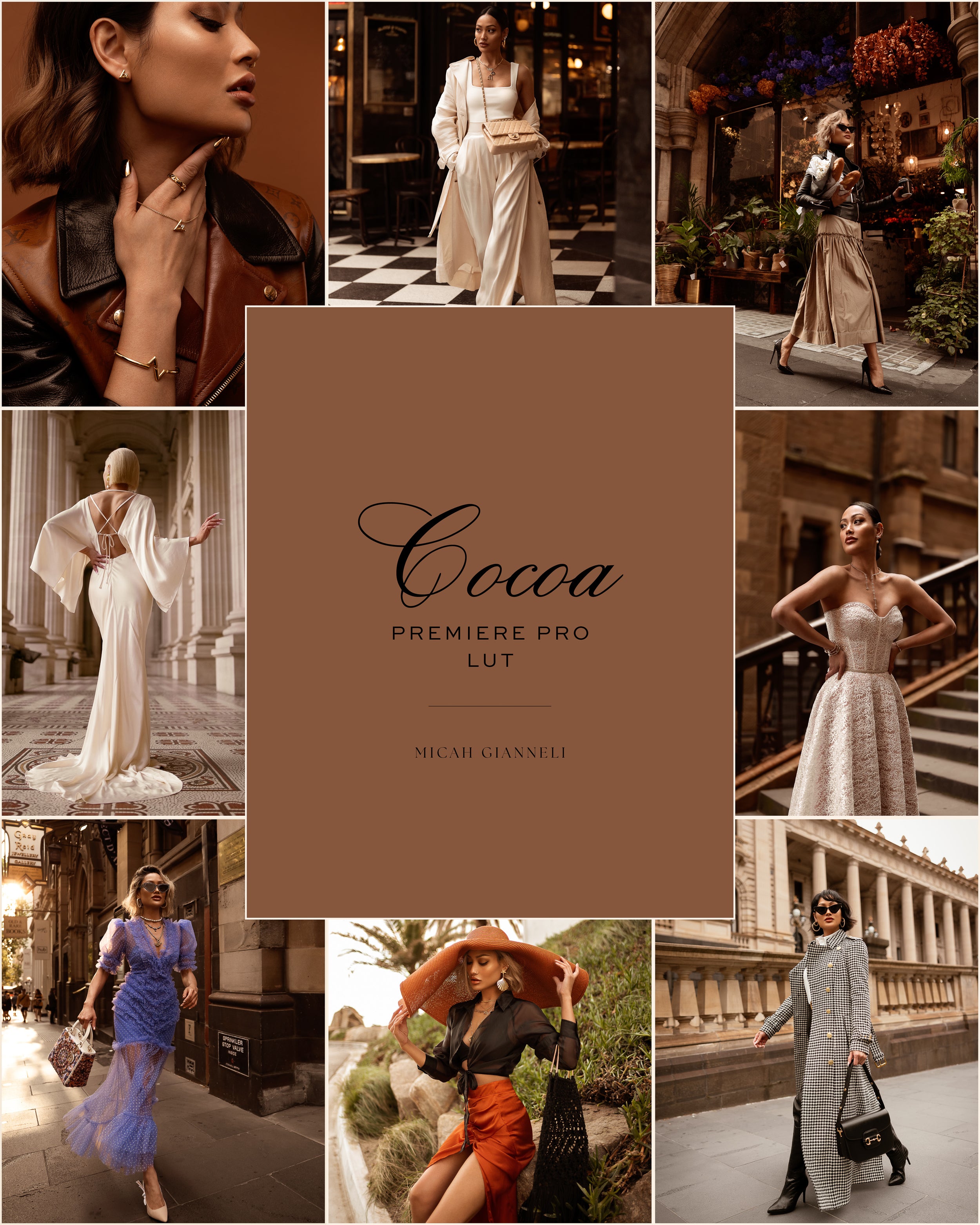 Cocoa Premiere Pro LUT