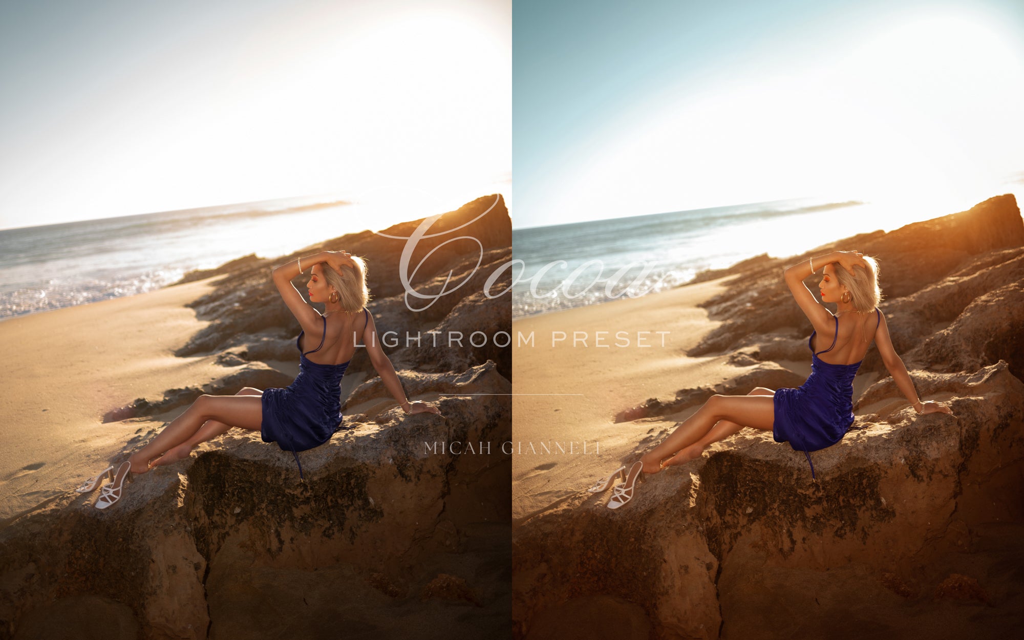 Cocoa — The Collection