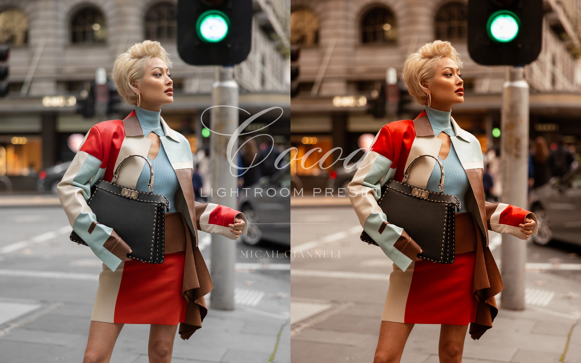 Cocoa — The Collection