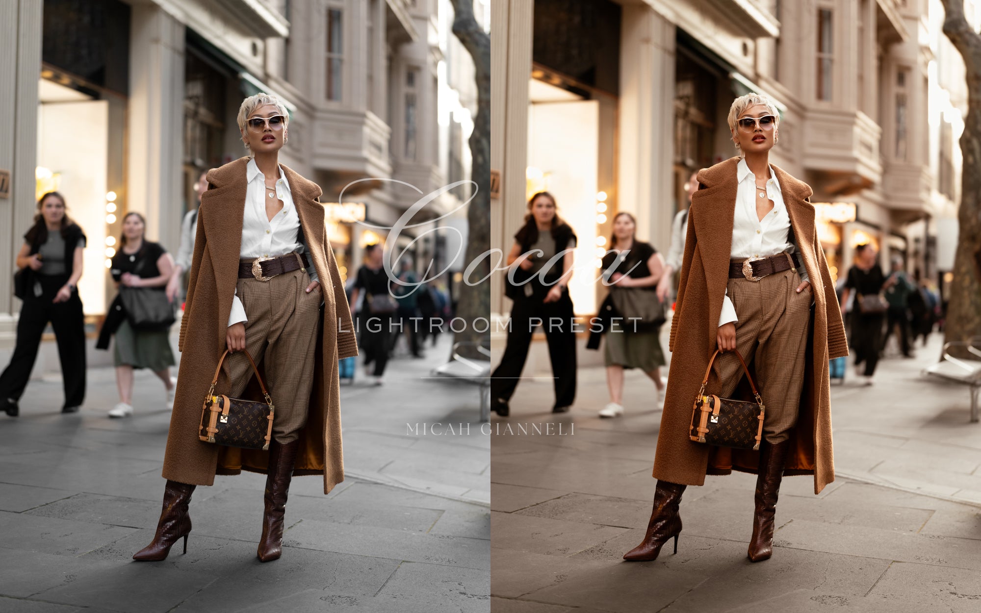 Cocoa — The Collection