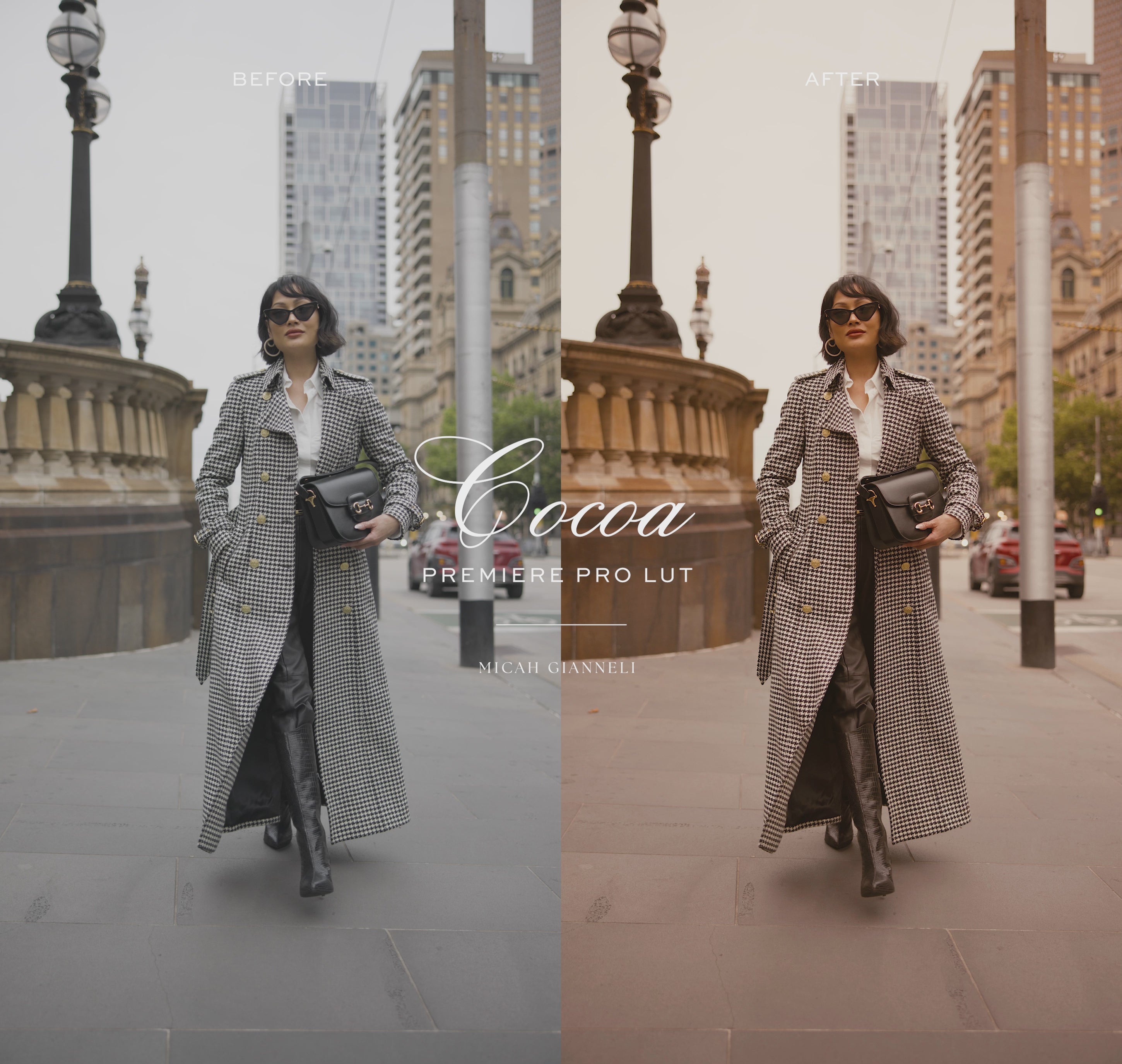 Cocoa Premiere Pro LUT